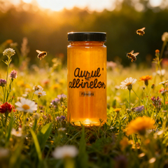 Miere de Fâneață, Aurul Albinelor, 560g