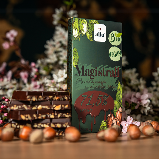 Magistrall - Dark chocolate with hazelnuts, 100g, organic